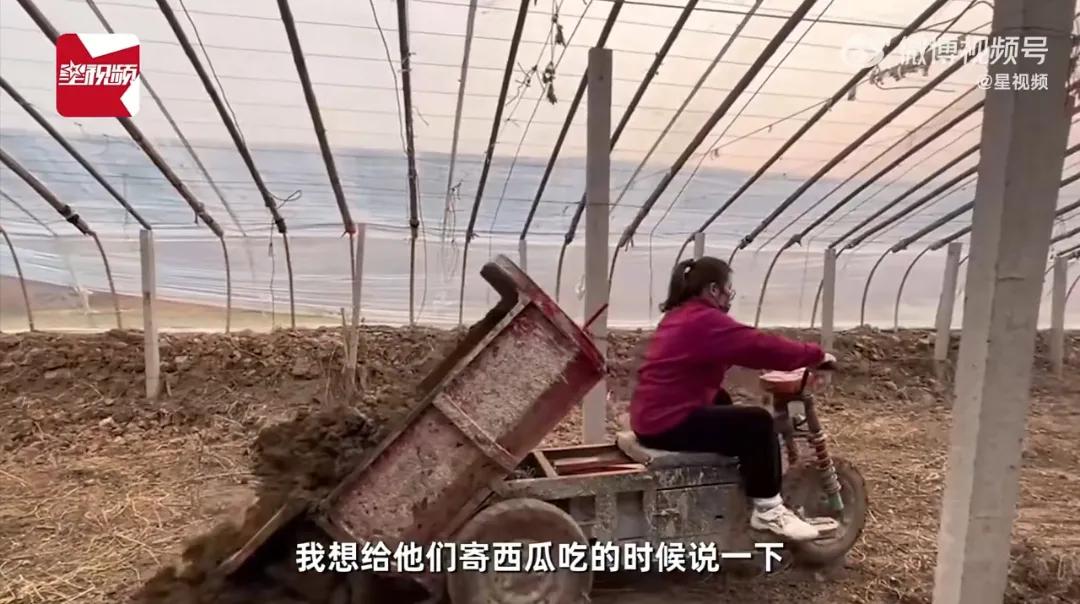 33岁裸辞后回农村,28岁裸辞回农村真实生活日常