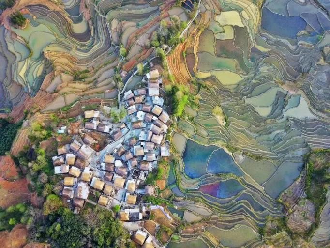 “穿越”古代判案，学皮肤美容！中山大学神仙课程火了，门门精品