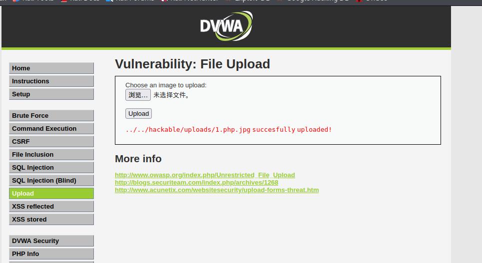 web渗透与漏洞挖掘pdf,web渗透漏洞挖掘项目报告