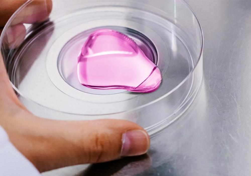 欧莱雅微藻,欧莱雅微藻护肤品