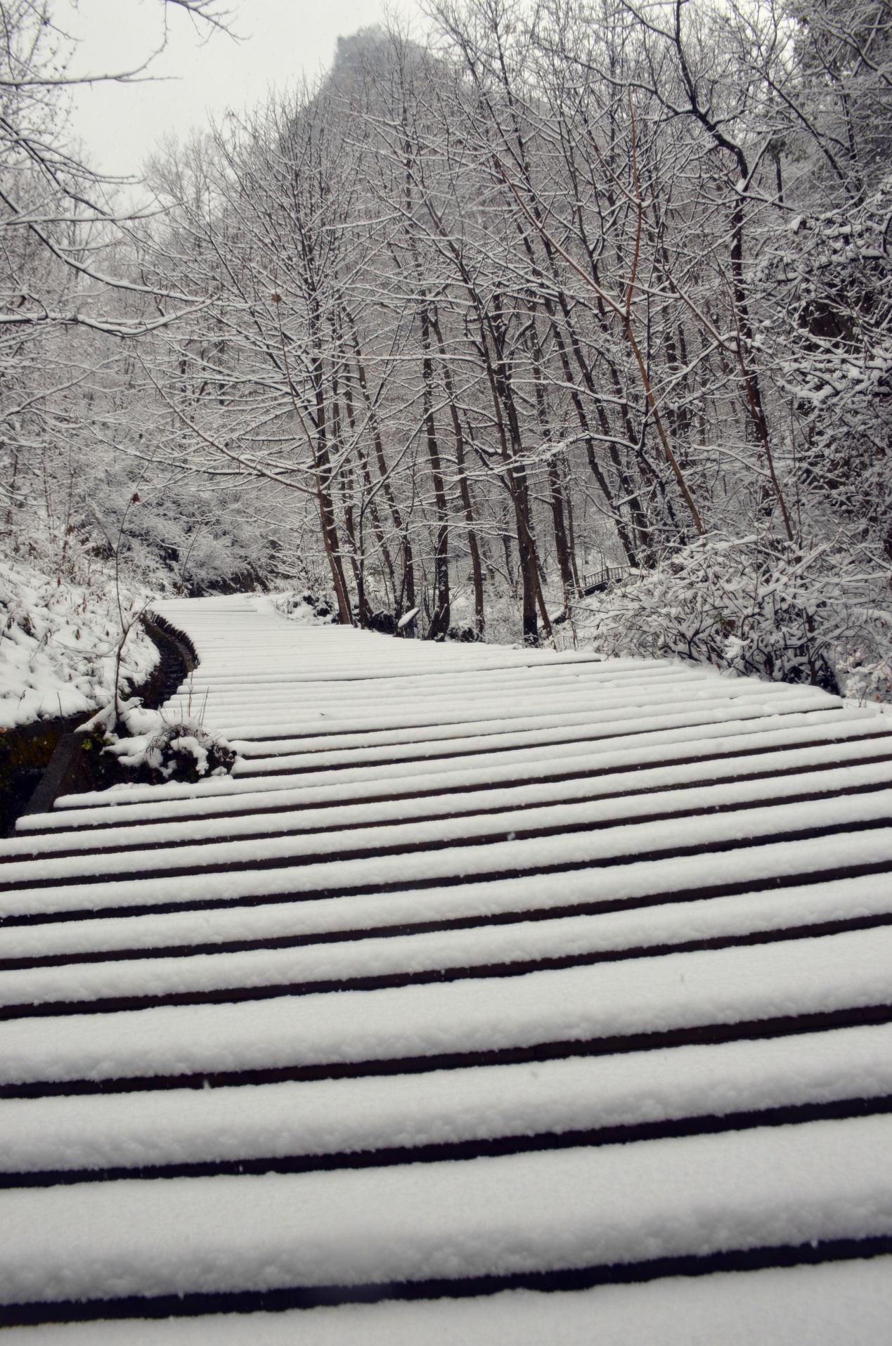 郑州向西自驾只需3个多小时，被网友誉为河南雪乡，门票半价