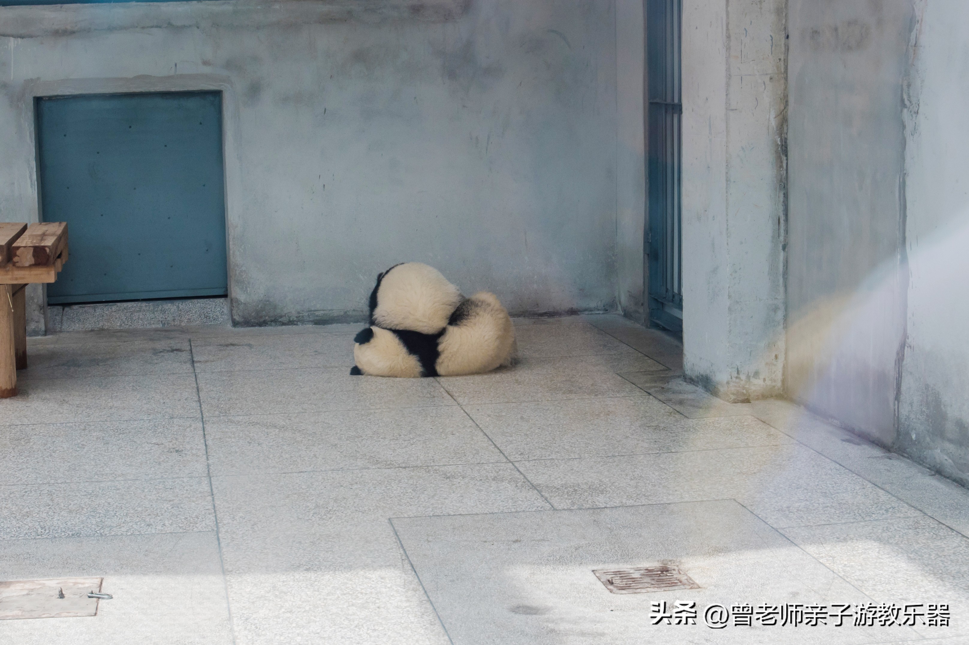 西安亲子游景点大全集,西安游玩攻略景点大全亲子