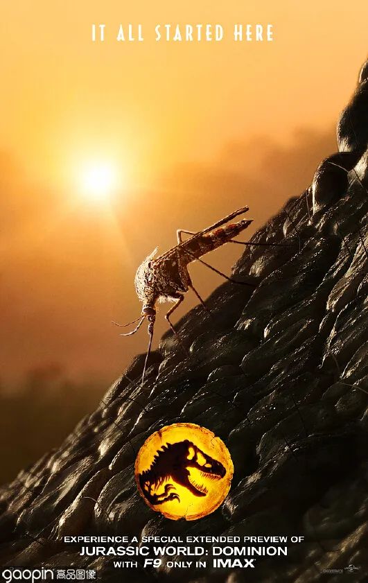侏罗纪世界进化3恐龙打架,恐龙电影侏罗纪3