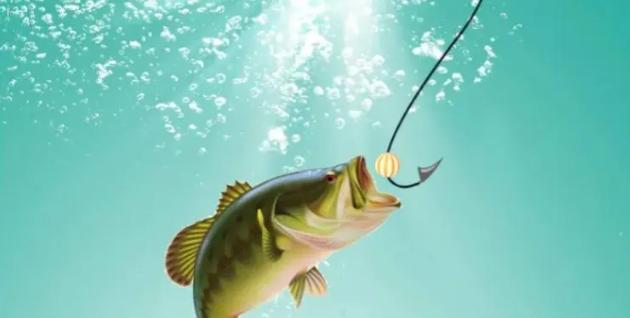 海钓矶钓竿什么牌子好实惠,海钓专用矶钓竿哪款好