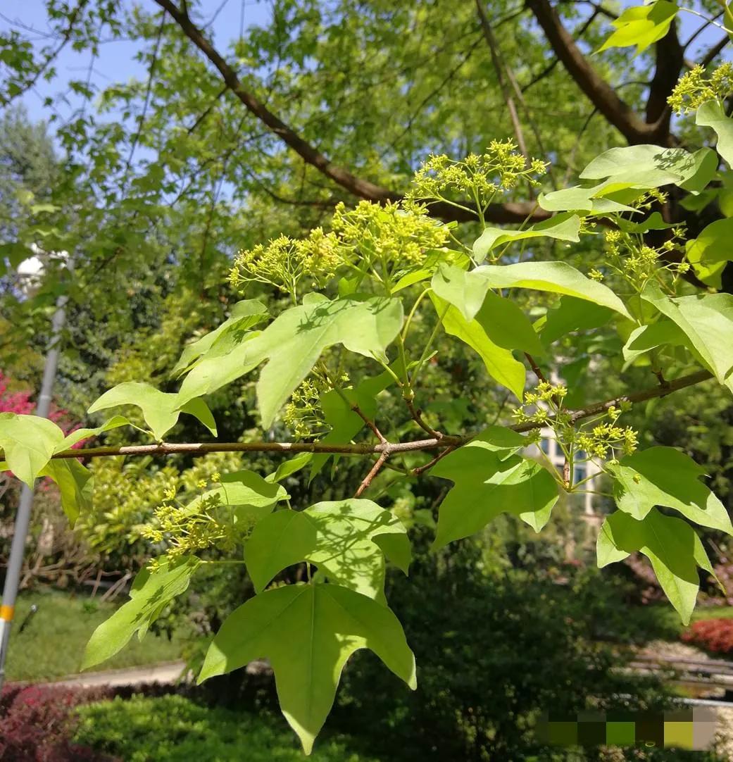 100种迷人的“数字花”,从零到一百万,真是太神奇了