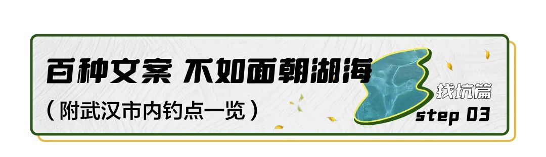 想学钓鱼新手需要买什么,新手学钓鱼最快的方法