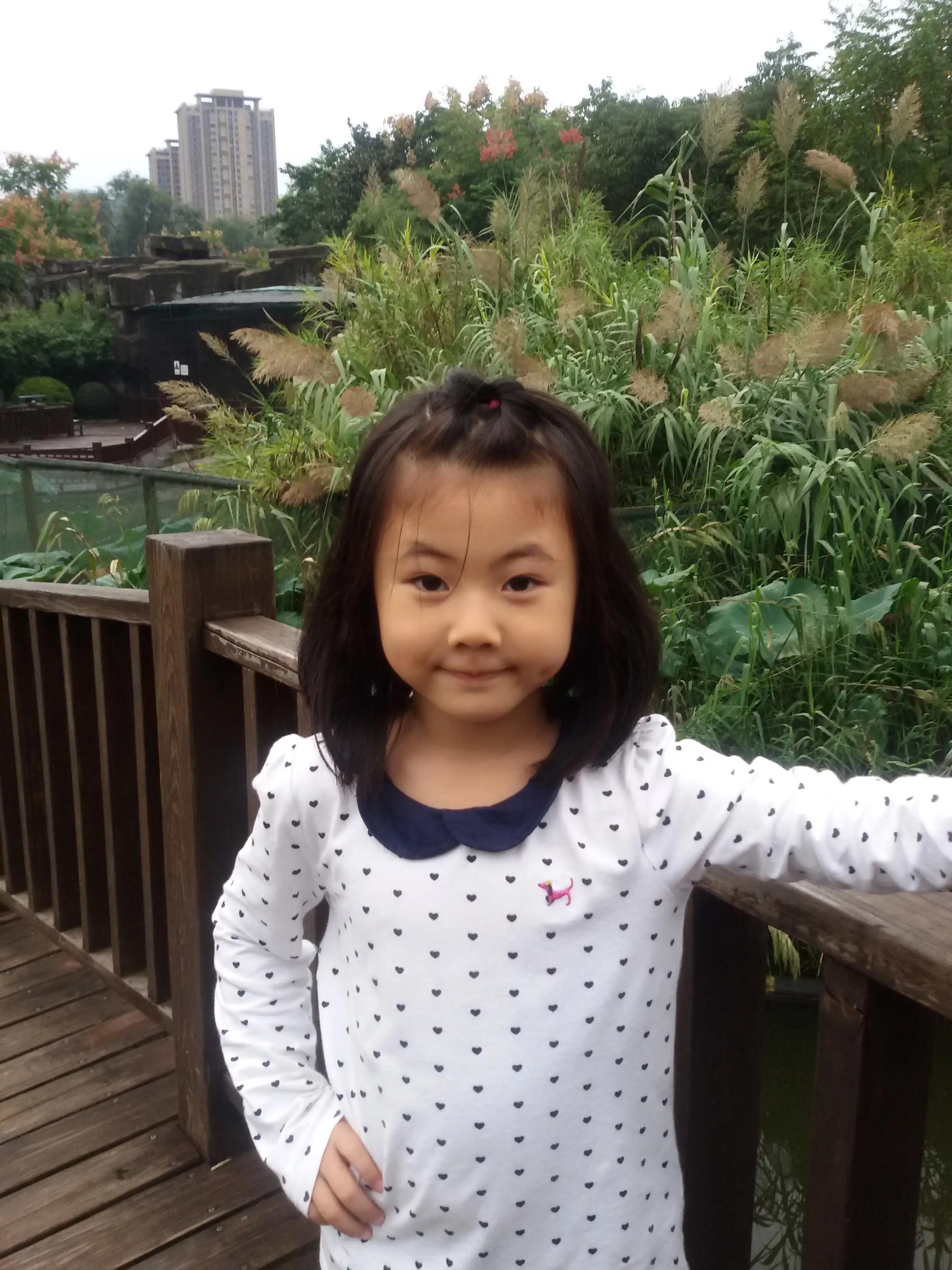 七夕花花合集,粉色花花合集