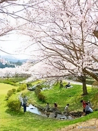 除了日本东京还有哪里有东京,除了东京梦华还有什么