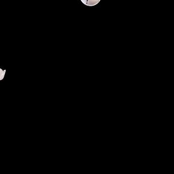 卡塔尔吉祥物laeeb判断真伪,2022年卡塔尔世界杯吉祥物亮相