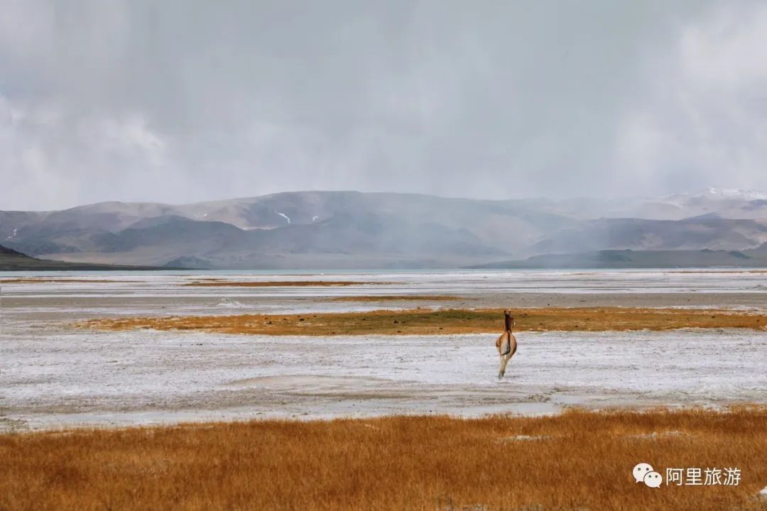 *藏西**不靠海,也能坐拥顶级颜值?靠的是“一措再措”!