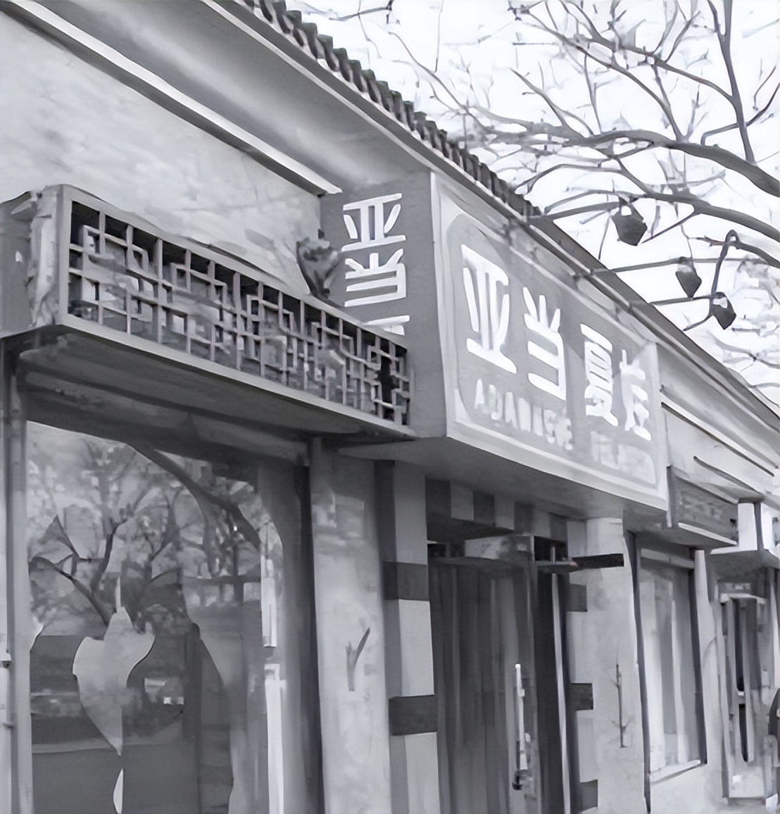 “*人用成品**”销量暴增，女性成购买主力军，背后到底是何原因？