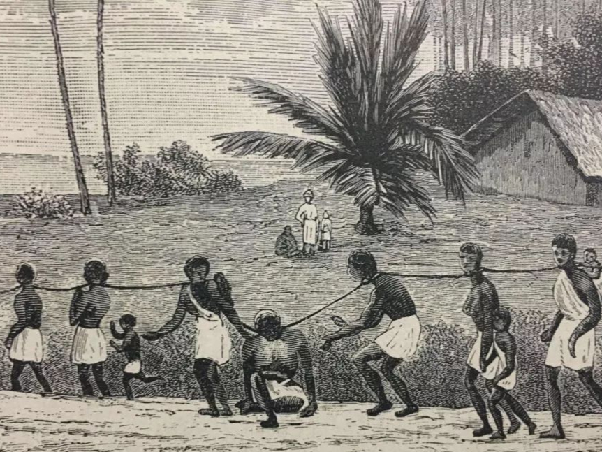 18世纪，美国海地革命的起源背景是怎样的？