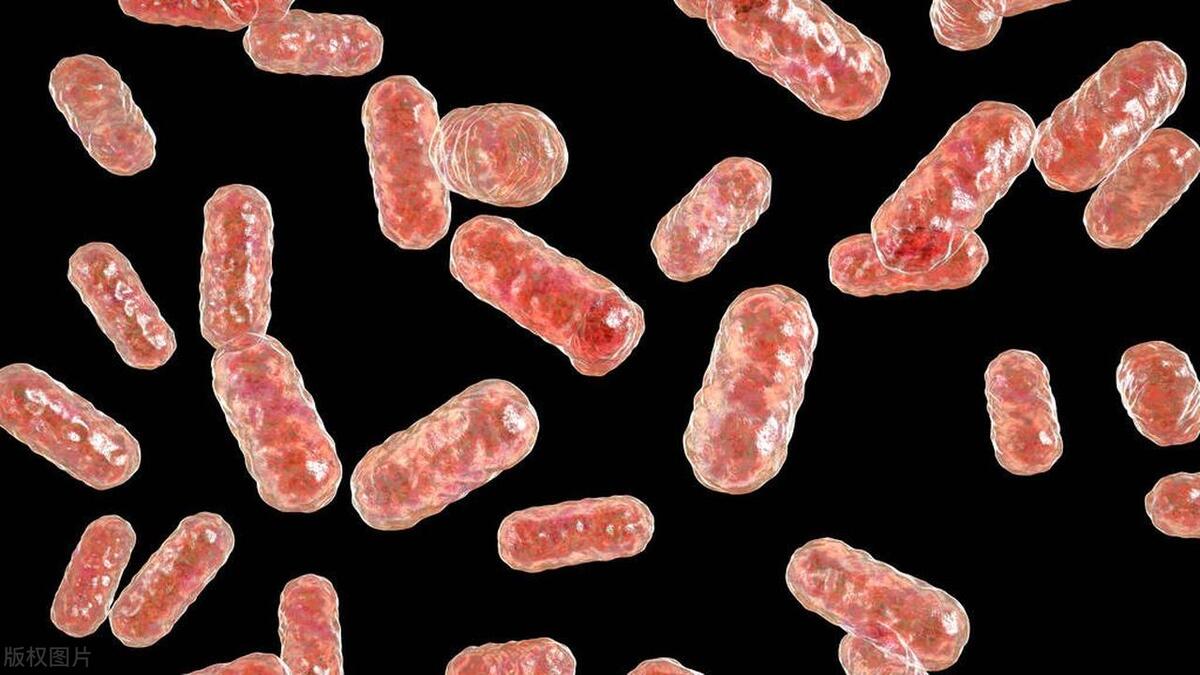 伤害女人的五种行为,伤害女性的全部事件