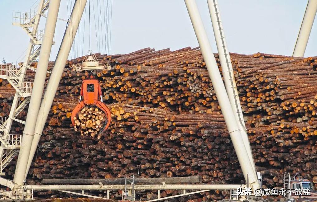 从林业运营中起重机的技术探索，分析如何提升其砍伐、剥皮等性能