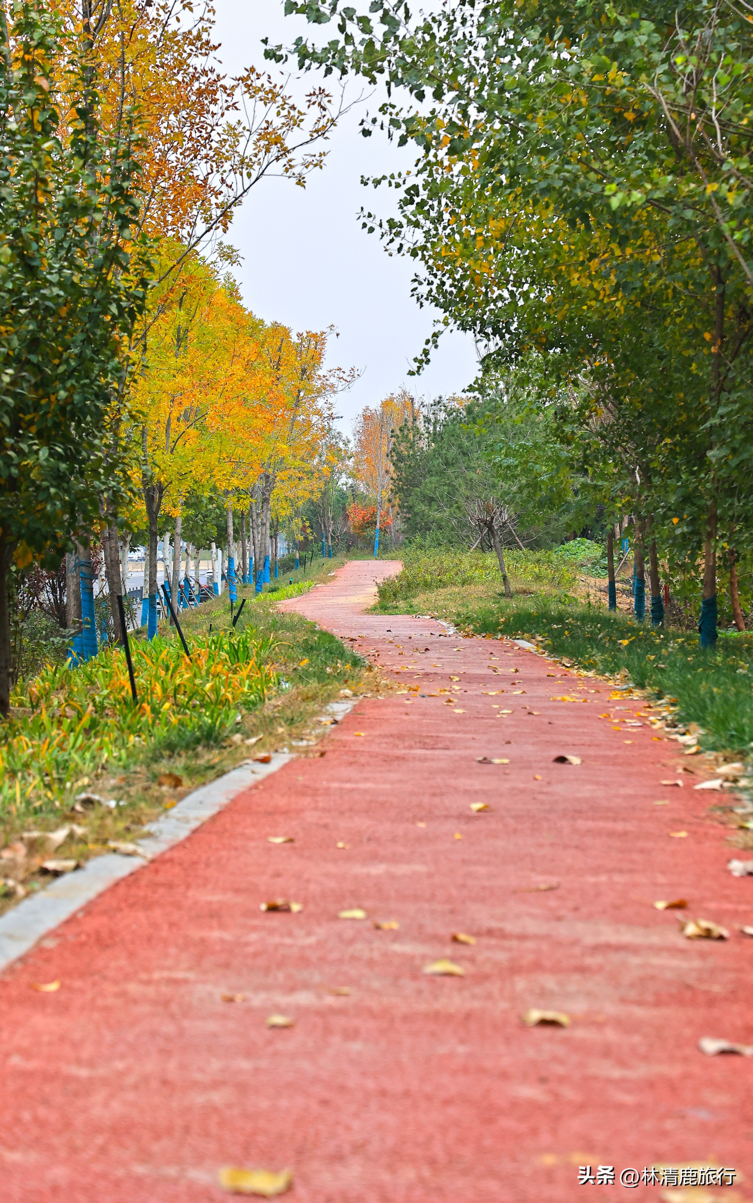 郑州哪个公园有火车,郑州有铁轨的公园