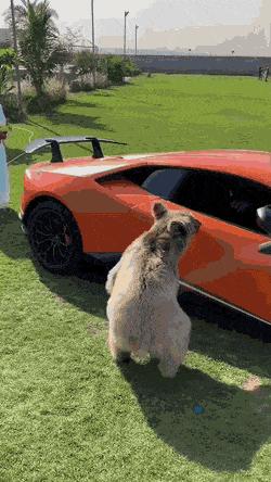 100个难得一见照片,难得一见12张照片