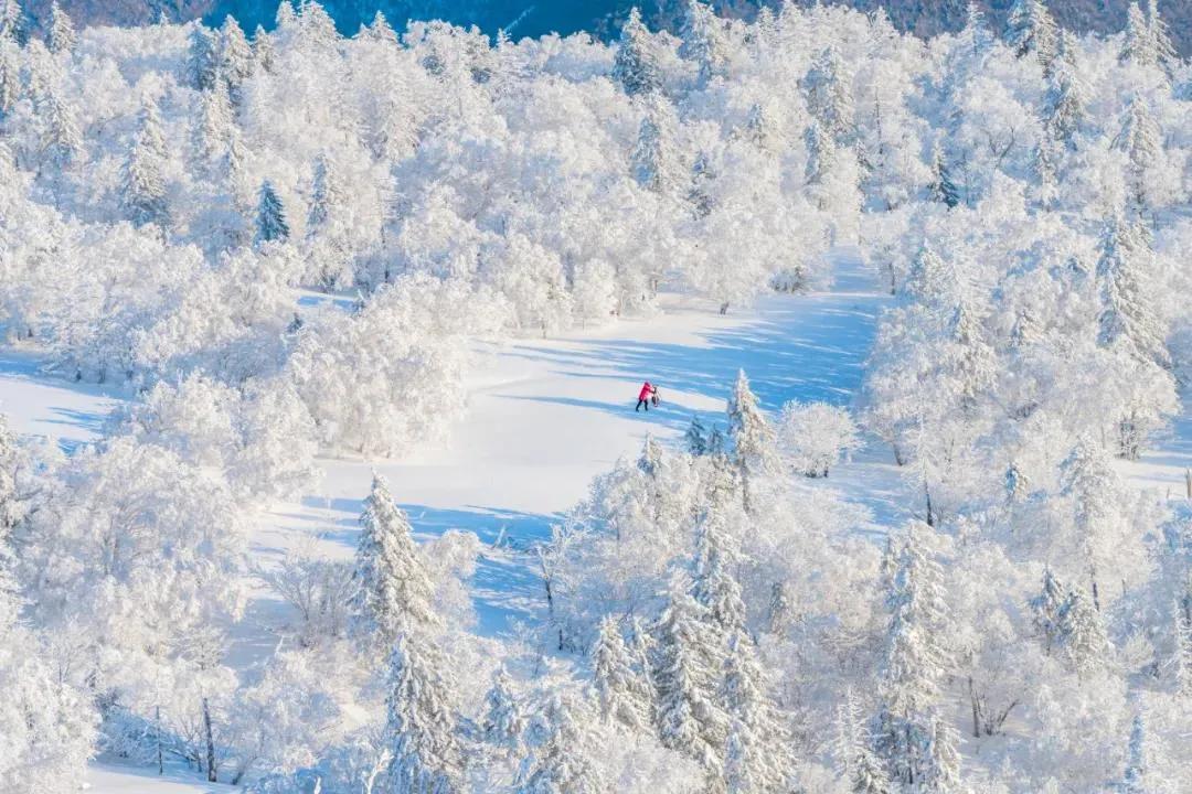 预测刷屏！疫情今春有望结束？适合2月去的18个大美山河准备好了