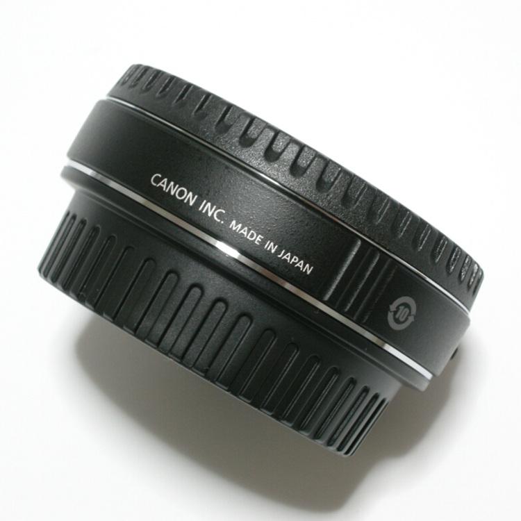 拍摄技巧如何拍摄好看的花卉照片,拍摄花卉技巧大全图片