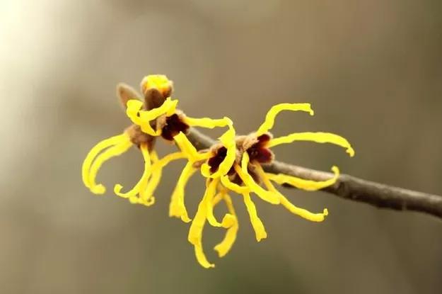 八款止汗露测评结果出炉,止汗露测评红黑榜