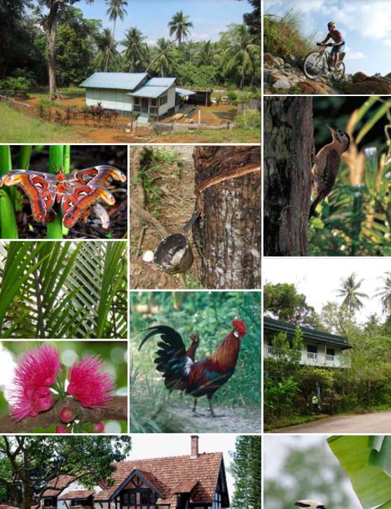 新加坡之旅漫游记,新加坡探寻之旅星耀樟宜