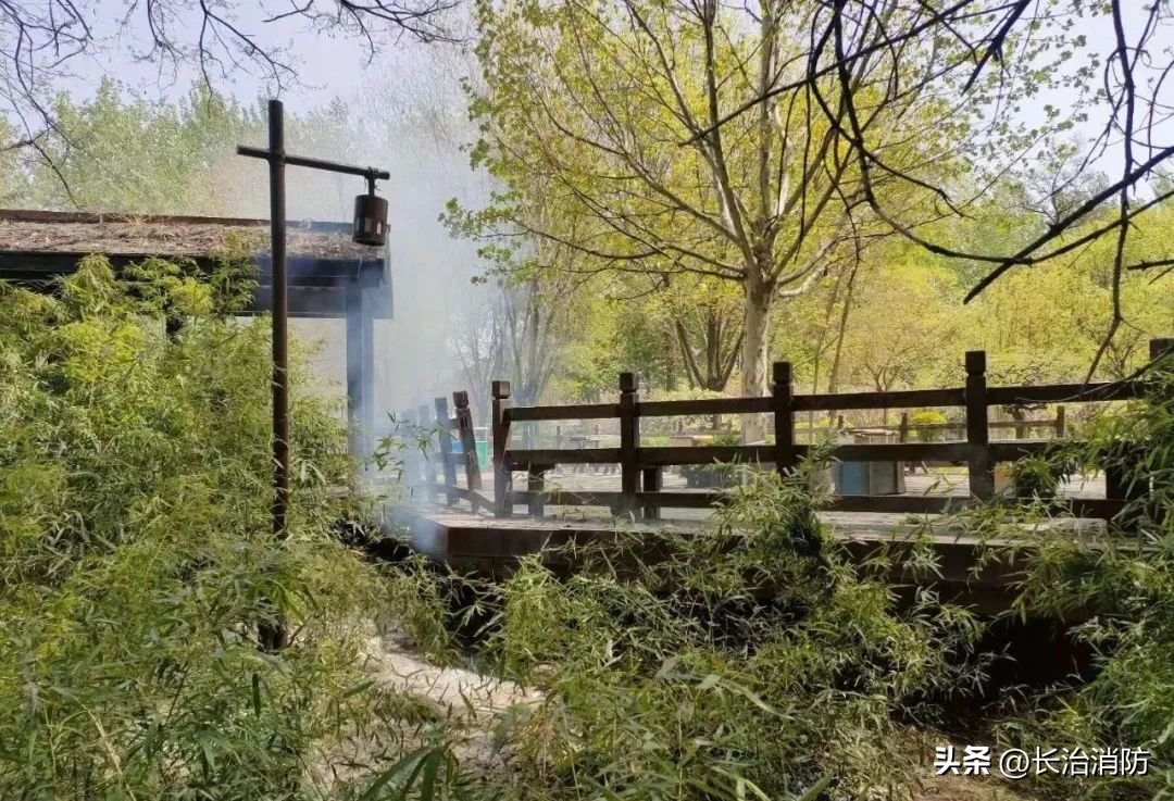 春天的烦恼—“放飞自我”的杨柳絮千万不能点～