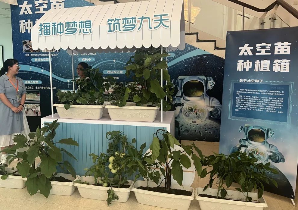 北京市航天图强小学电话,北京市海淀区航天图强小学校徽