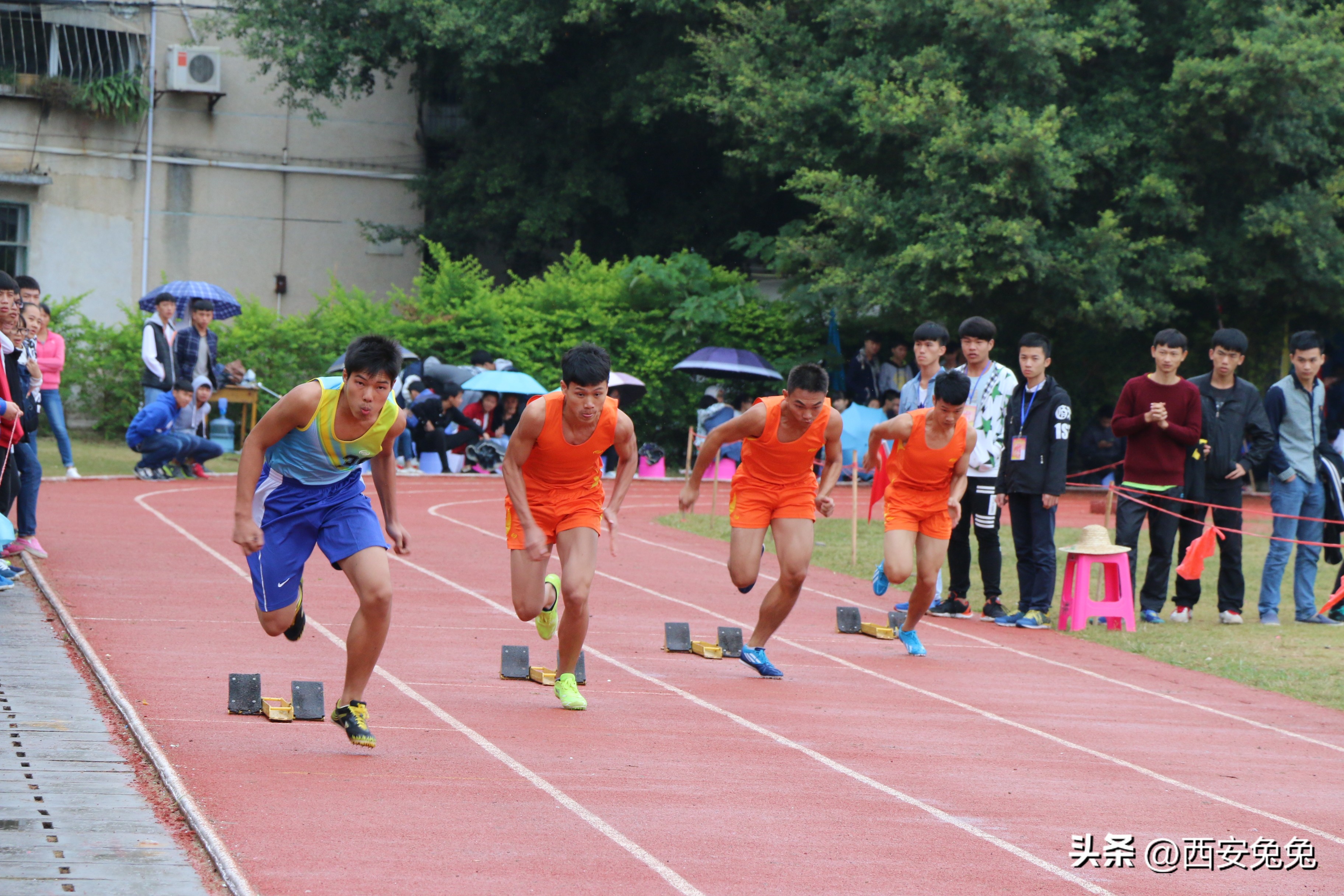 西安市2023年艺术特长生招生简章,2019年西安招收艺术特长生的高中