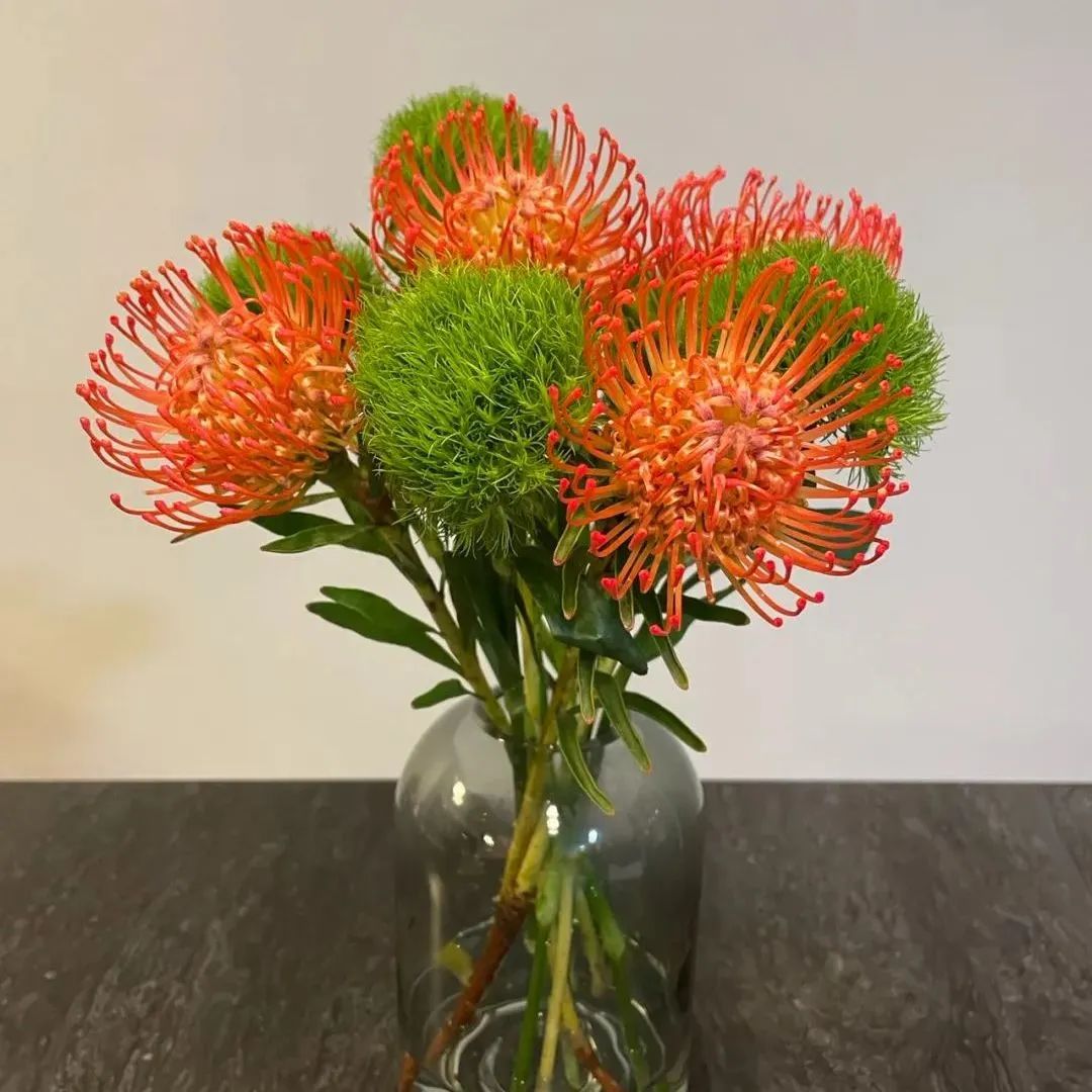 新手必看鲜花养护攻略,鲜花在水里能养几天会死