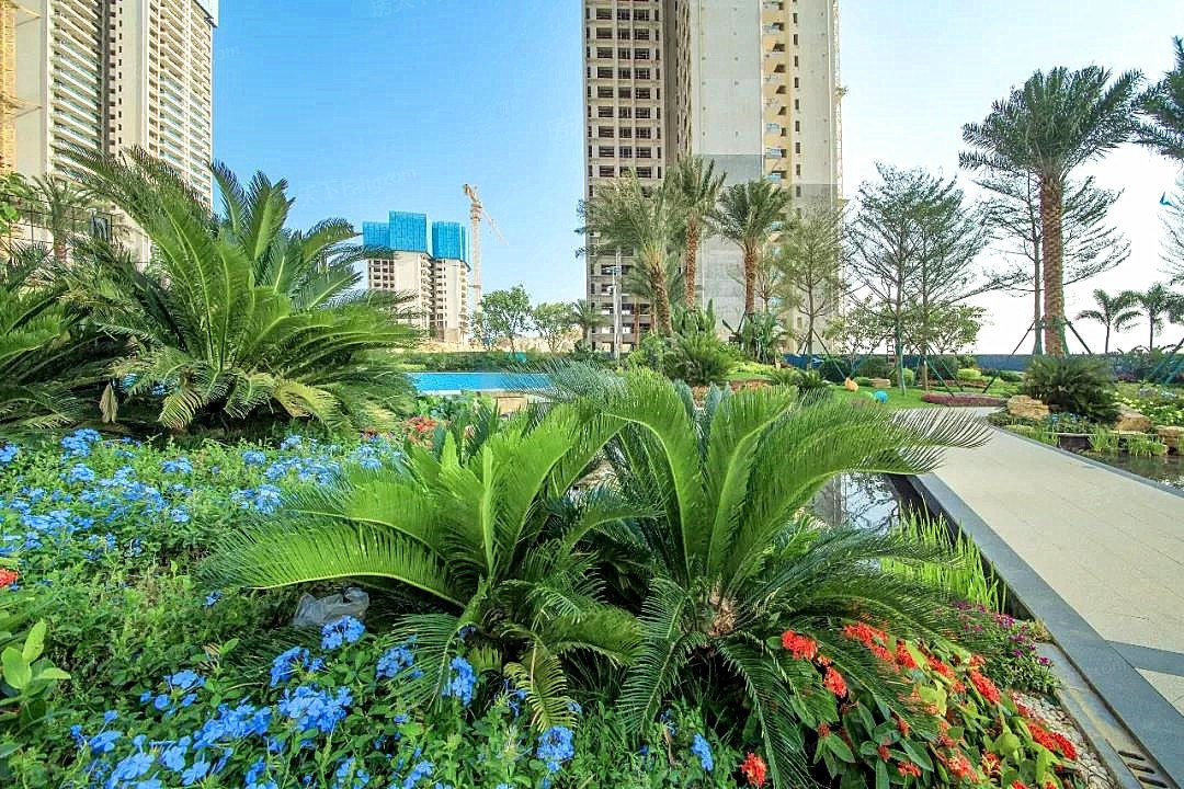 惠州海景房值不值得购买,在惠州买海景房血泪史