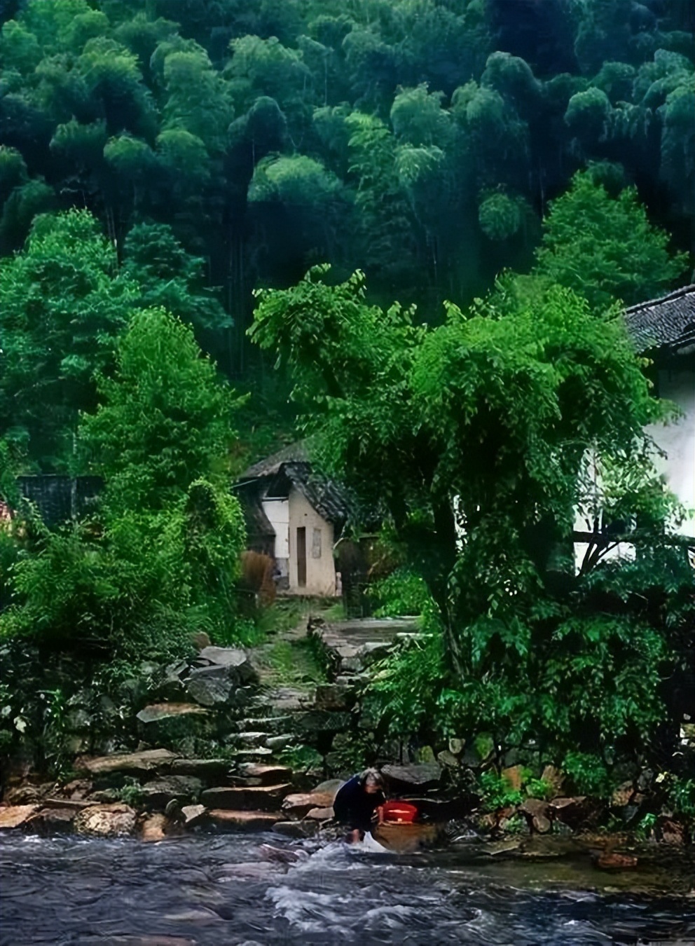 韶关小坑国家森林公园游玩攻略,韶关市内小景点