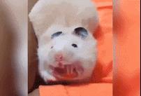 当你遇到了不正经的医生,当医生遇到不正经系统