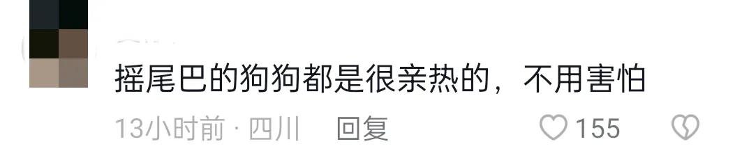 这哪里是大狗想找吃的或者想和人玩？这明明就是大狗发情了！