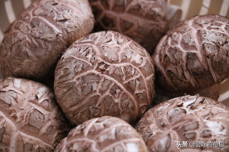 风冷无霜冰箱怎样储存蔬菜,什么蔬菜不能放冰箱储存