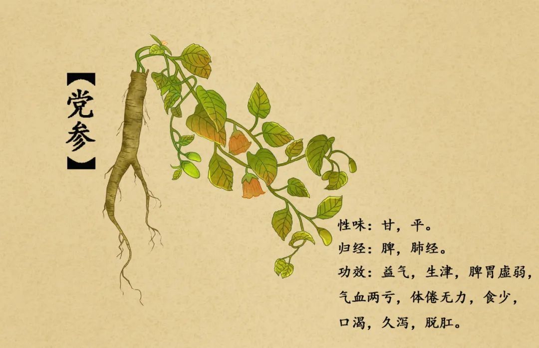 谷医堂:参芪口服液入选《新冠病毒感染者居家中医药干预指引》