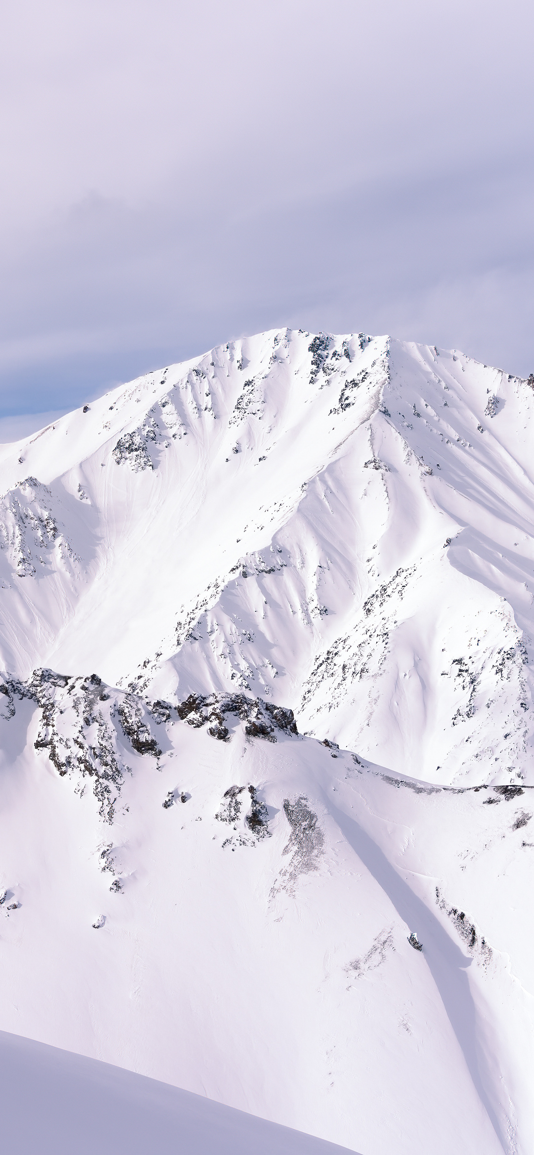 高清蓝天自然风景壁纸,动物自然风景高清壁纸