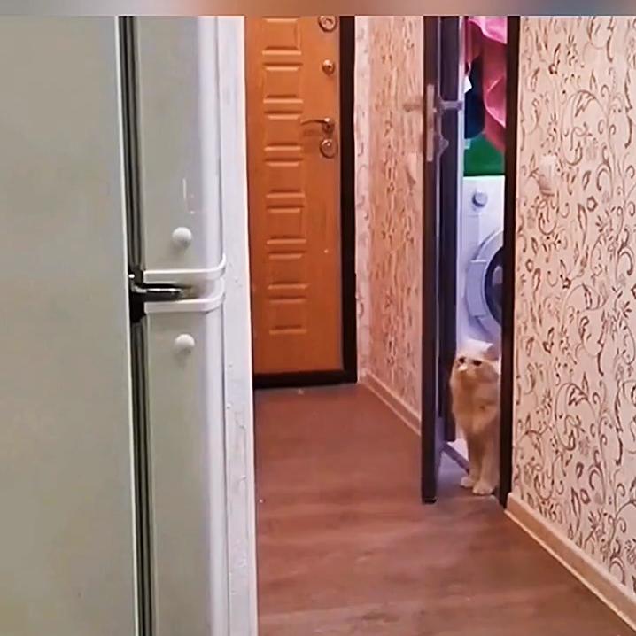 DOU+小助手视频,dou+小助手流量包