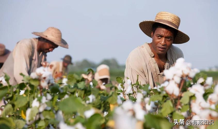 论尼罗河对埃及的影响,有关奴隶制度的文献综述