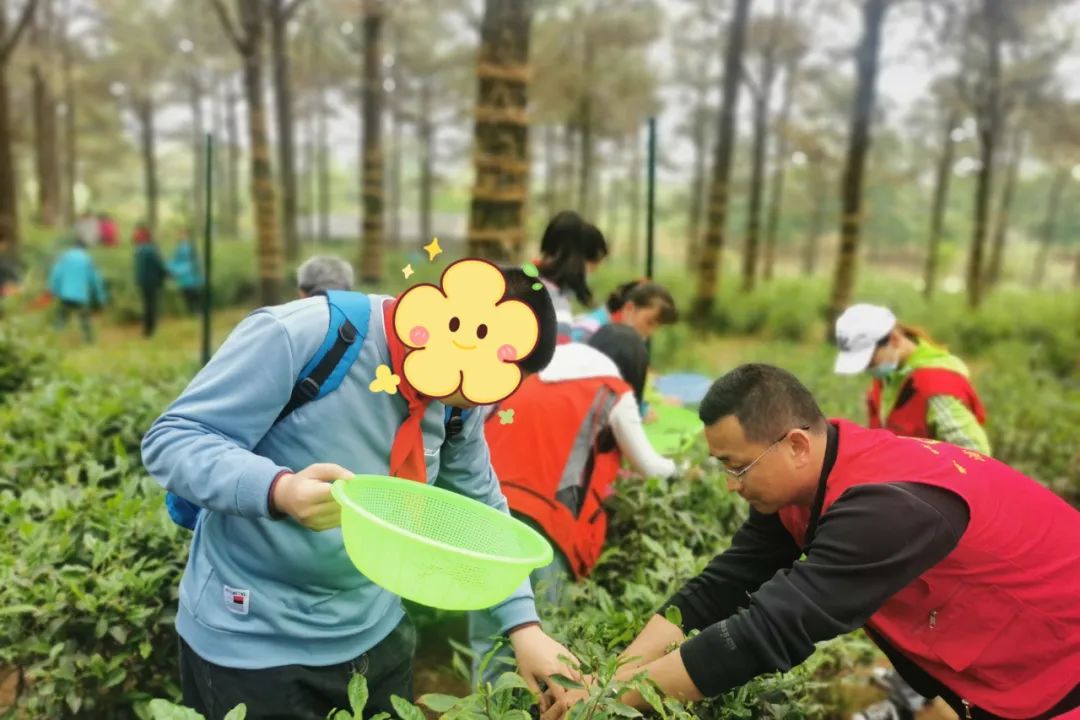 浦口有好学校吗,浦口有什么学校