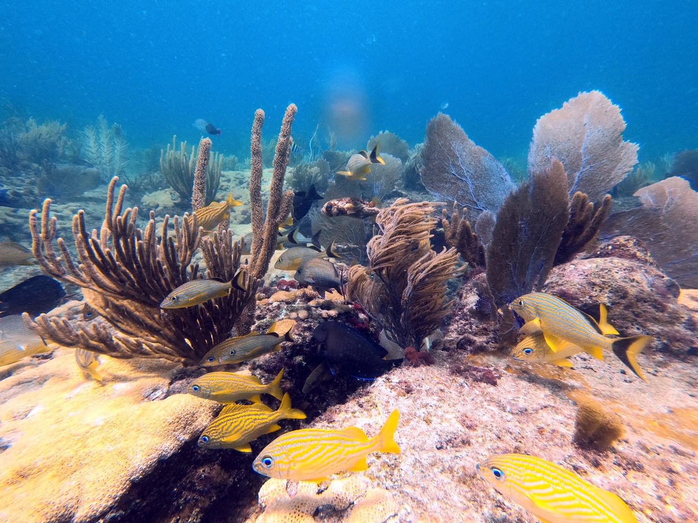 最详细的迈阿密旅游攻略,美国迈阿密3天旅游攻略