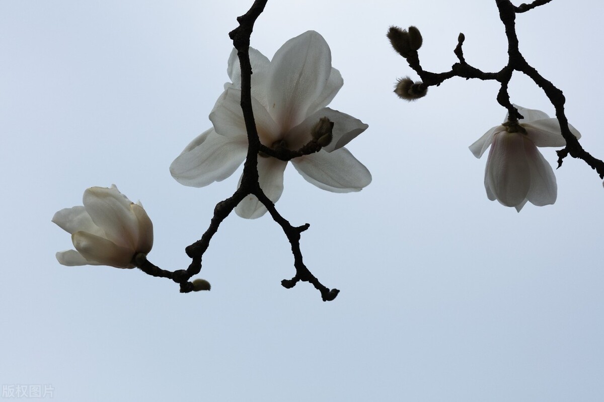 两个人关系冷淡应该怎么解决,两个人关系不好说明什么