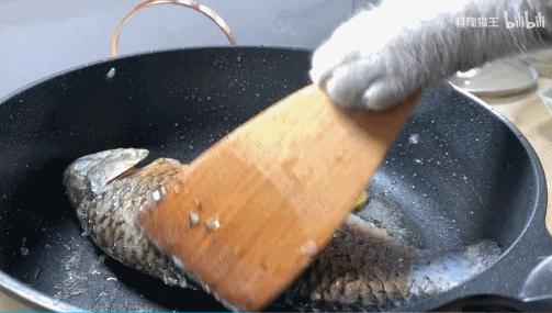 六百万网红想洗白反被封，他哭了狗笑了？网友：他活该