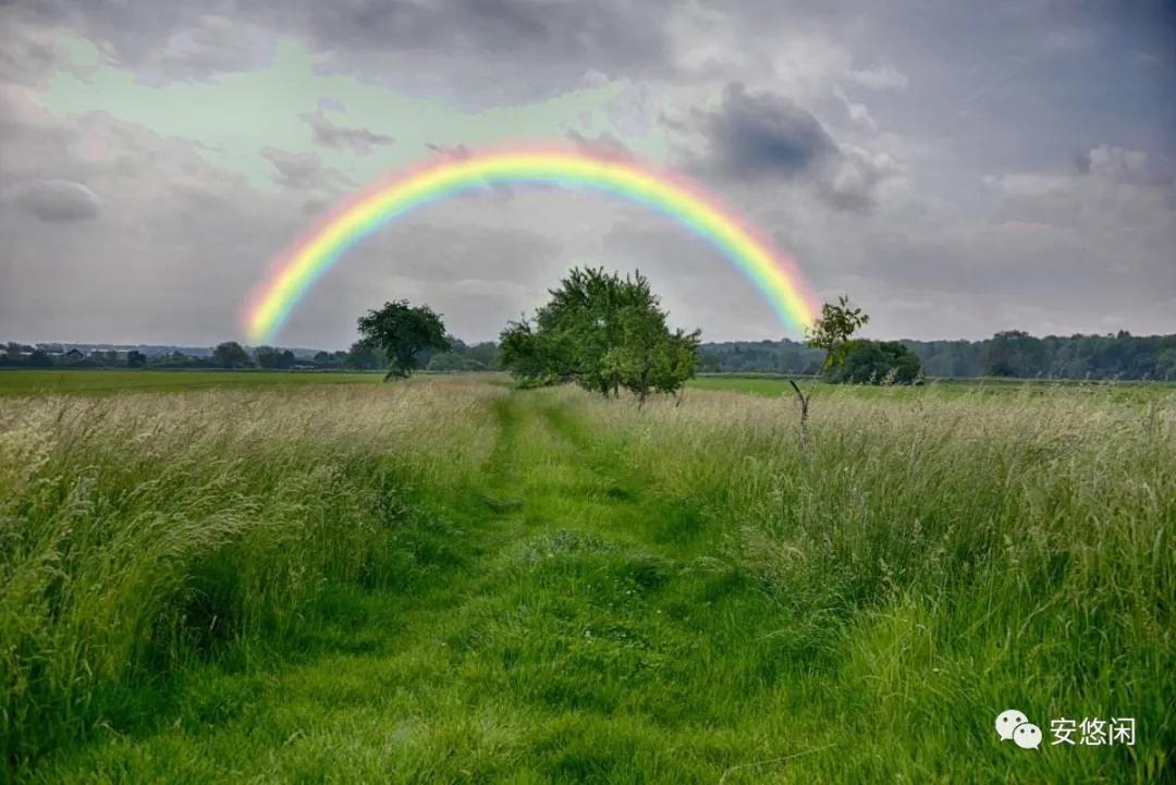 会展专业最好就业方向,你知道什么是茶艺