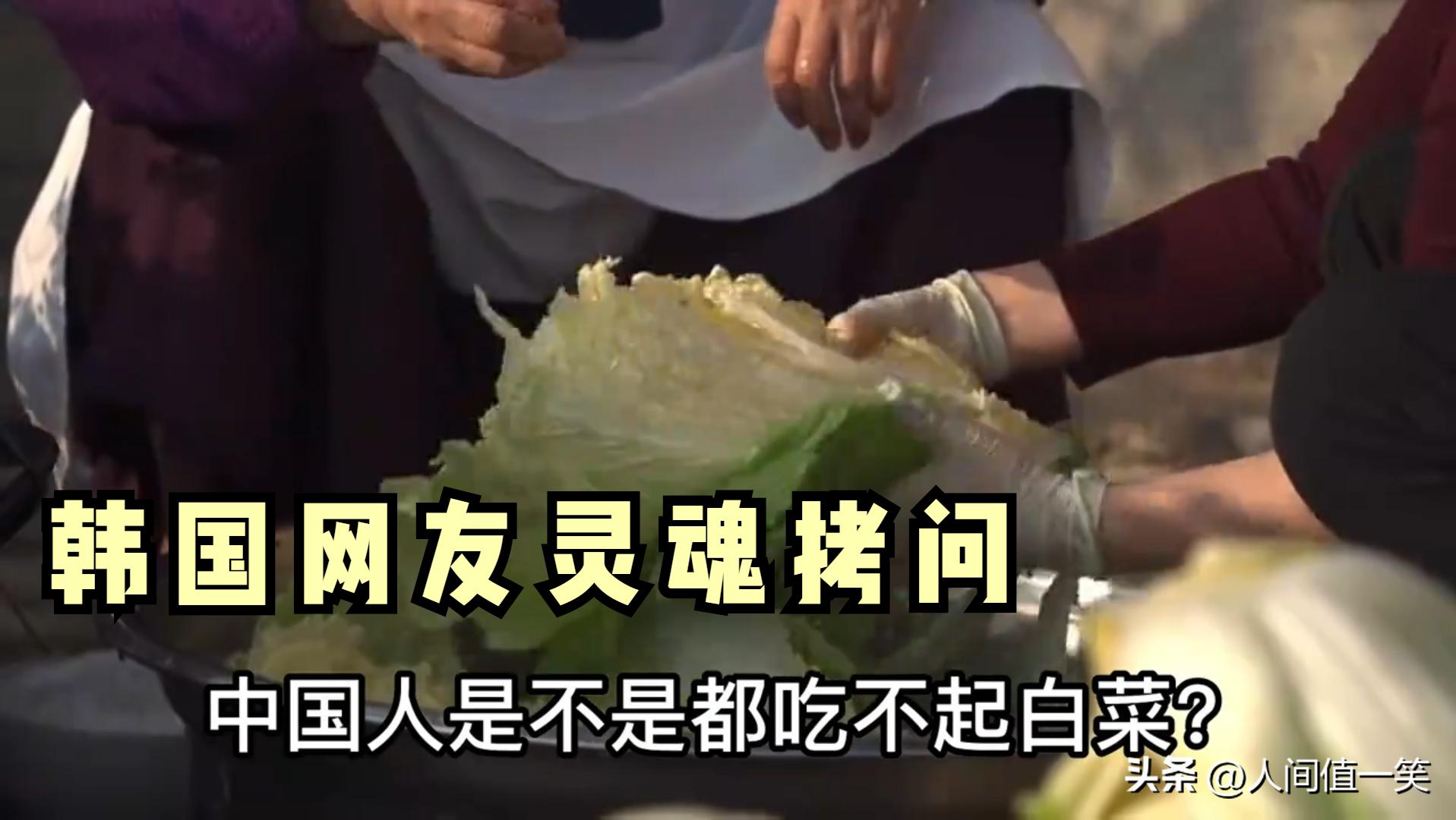 韩国朋友灵魂发问：中国人吃得起白菜吗？印度网友：我用中国手机