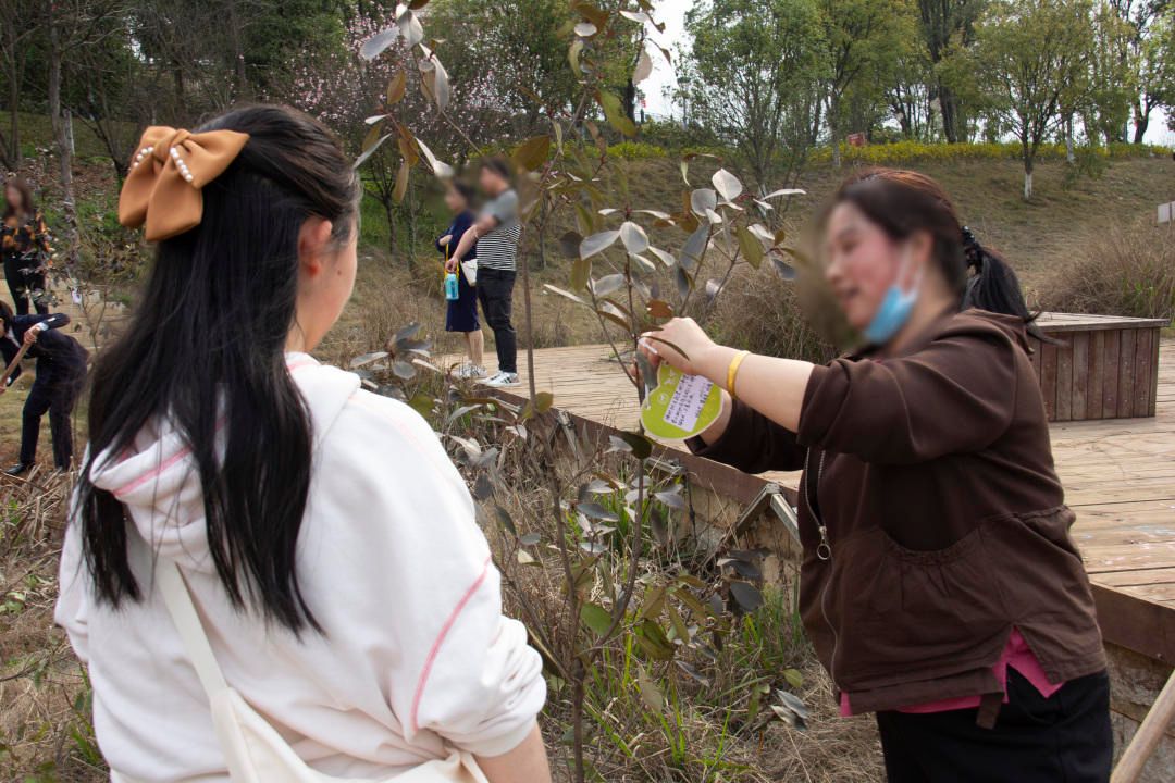 仙岭湖畔三马国际名车植树节公益活动圆满落幕