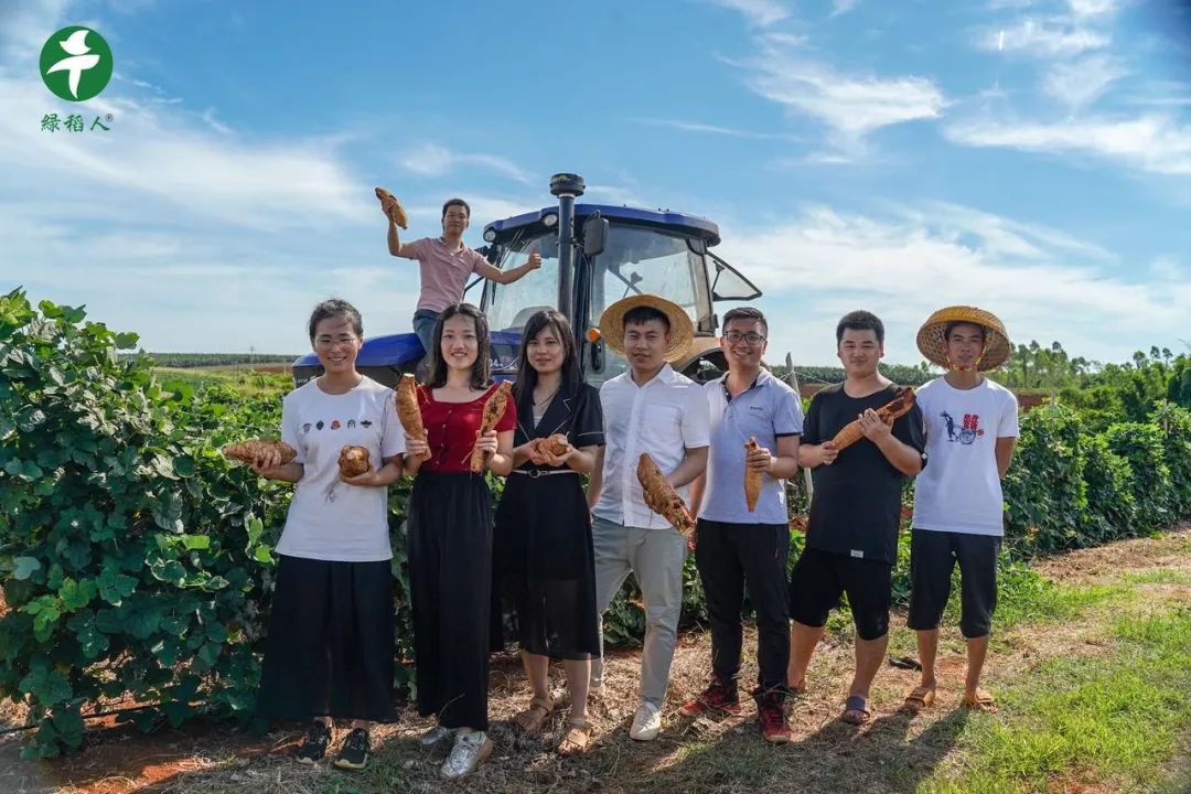 有关乡村振兴的创业机会,调研乡村特色发掘乡村创业机会