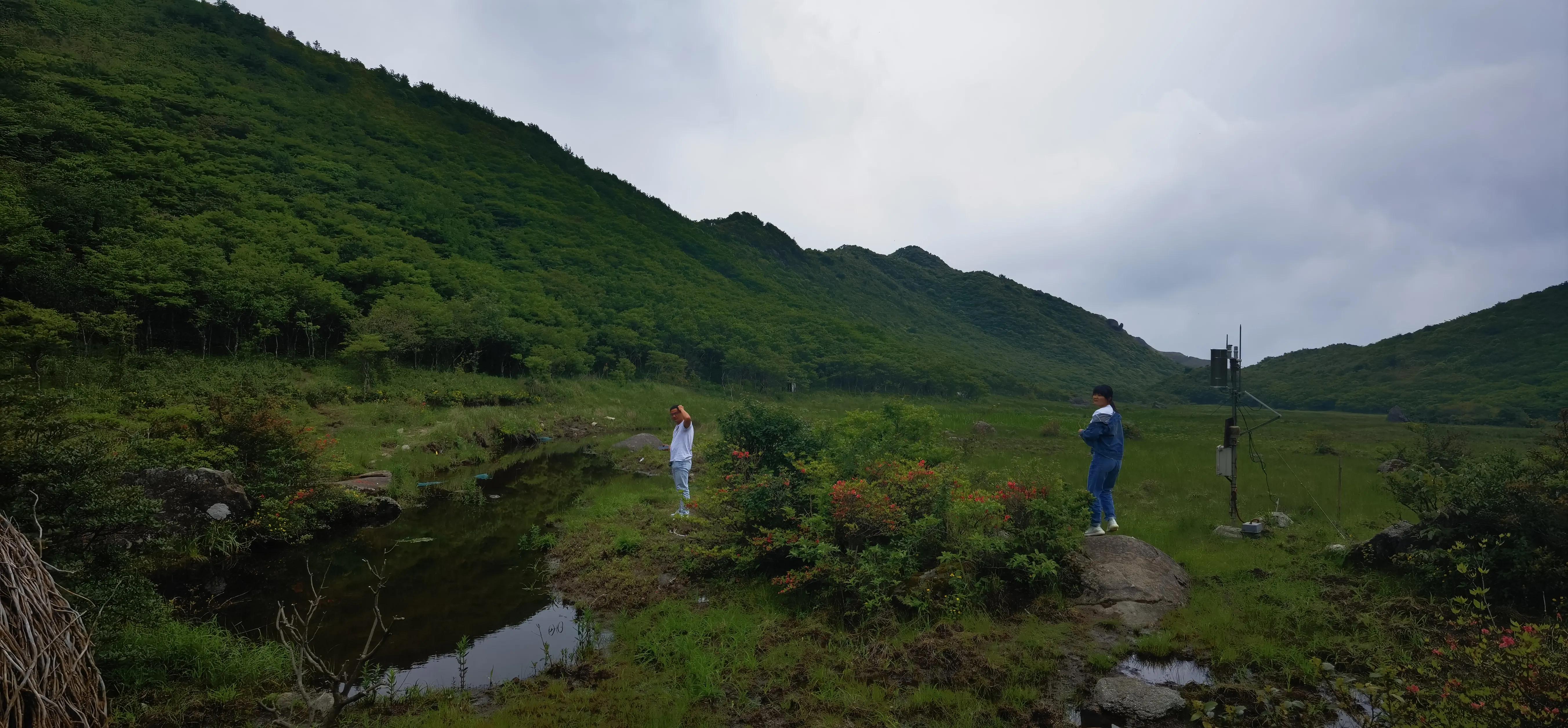 浏阳大围山森林公园浏阳河源头,大围山杜鹃花在哪个景点看