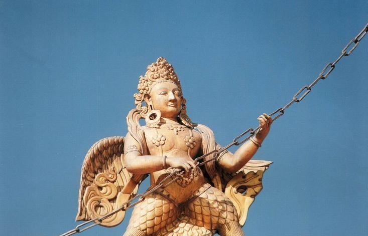 《金翅雀》内容赏析,金翅雀的描述