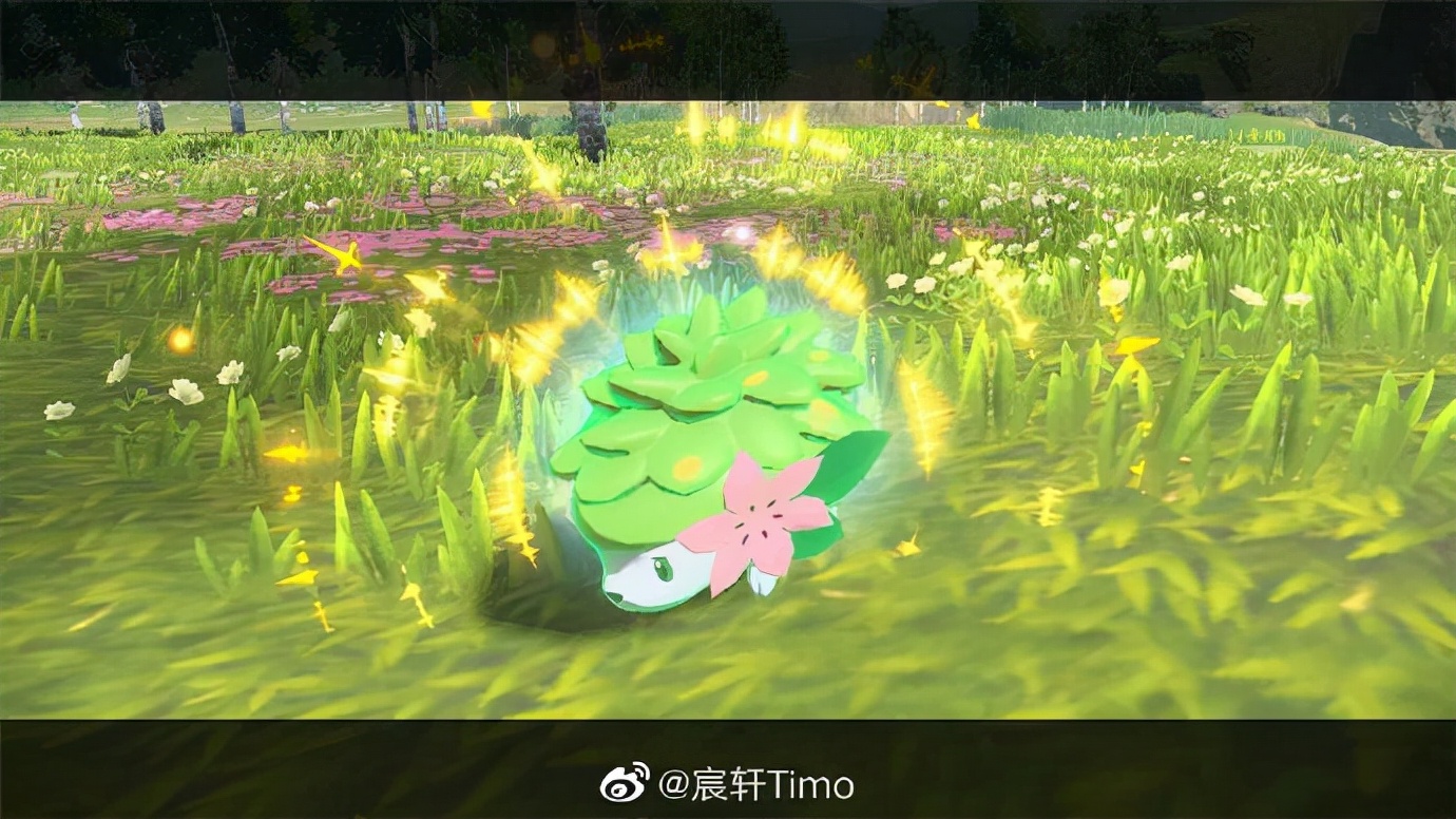 宝可梦阿尔宙斯特典版什么意思 (宝可梦阿尔宙斯传说dlc出了吗)