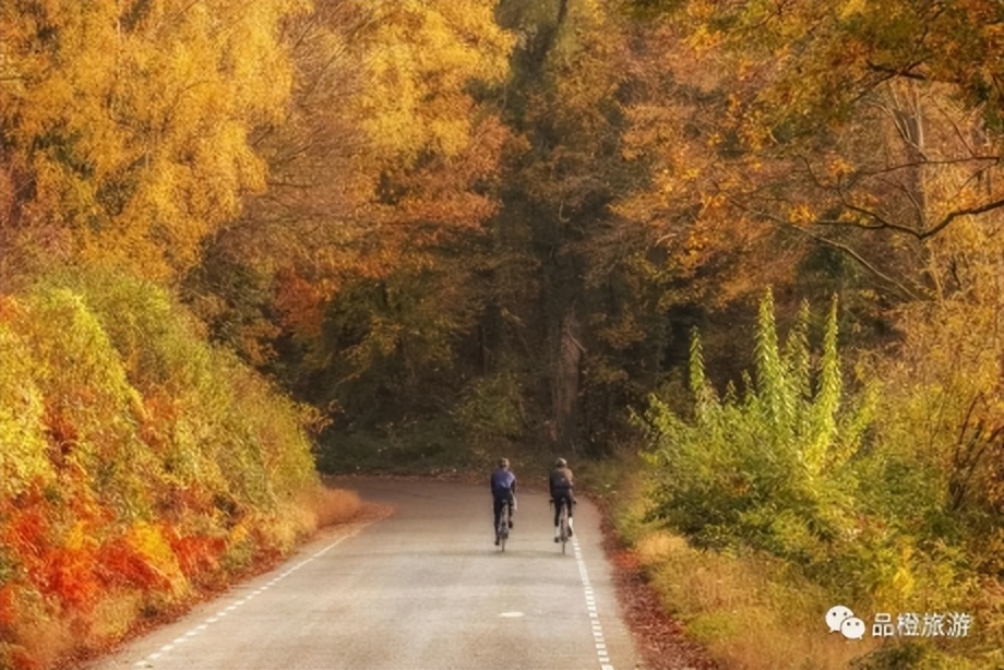 荷兰自行车王国,中国与荷兰半决赛视频
