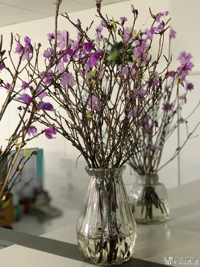 不要买！不要买！不要买！有毒